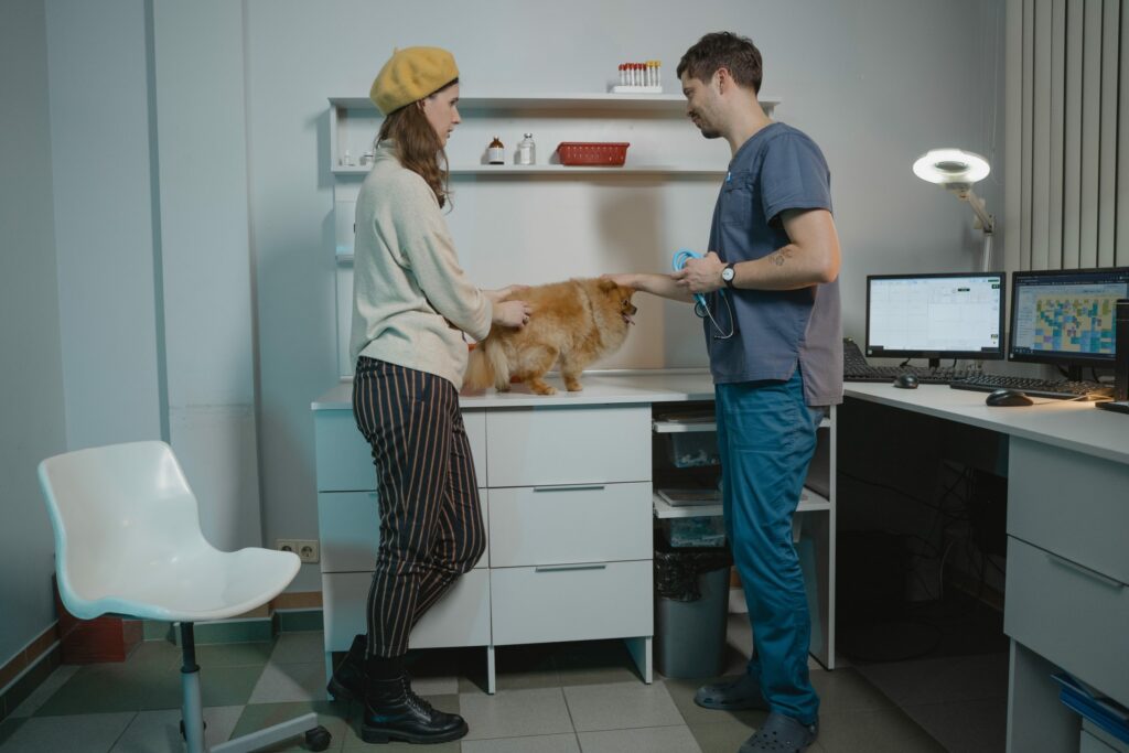 A woman with her dog, talking to the vet.